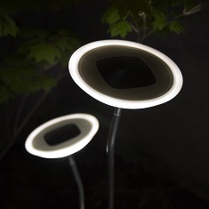 Solar Patio Lights