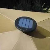 Umbrella Top: Showing Cells