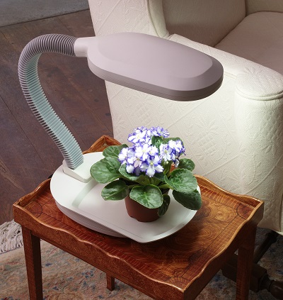 A Grow Light extends daylight growing hours and stimulates