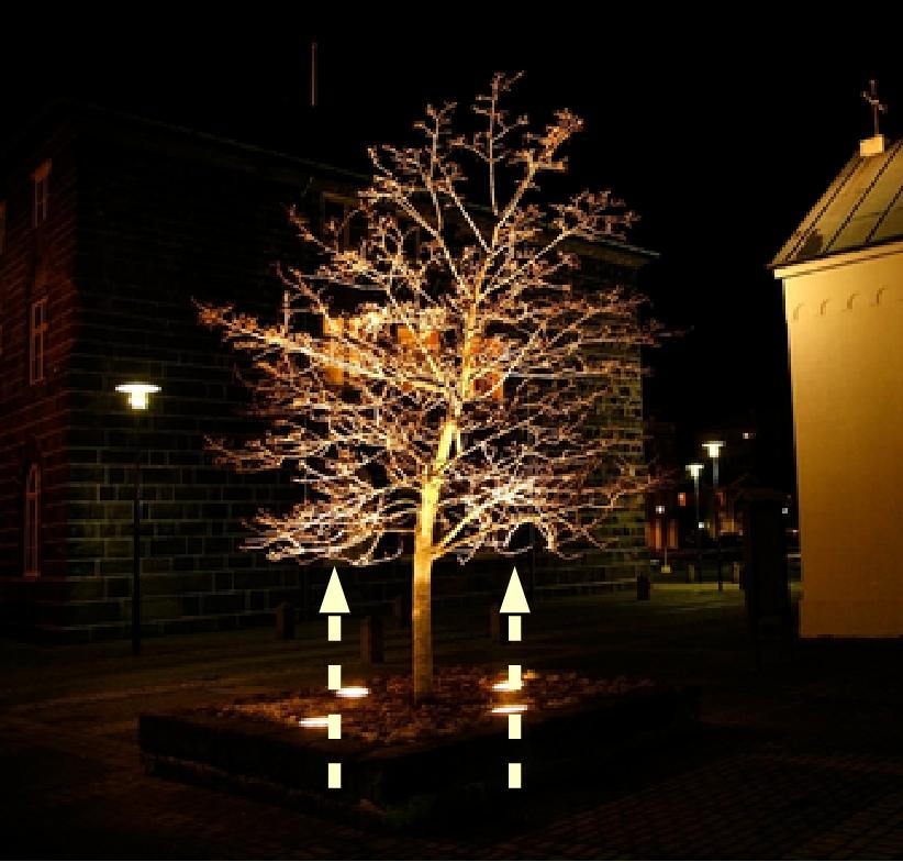 EXAMPLE: Up-lighting