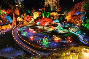 Coloured Garden Lights
